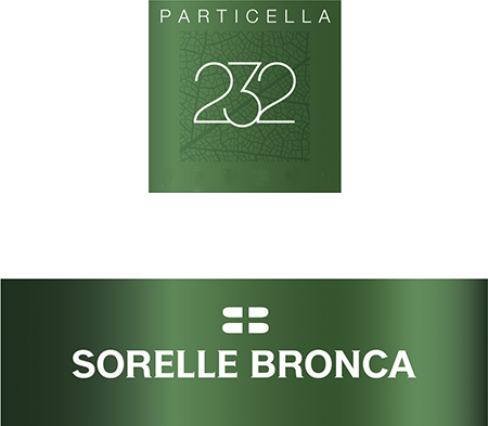 25ve213