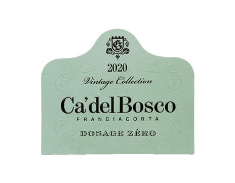 cadelbosco26 6
