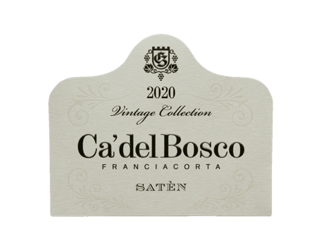 cadelbosco26 8